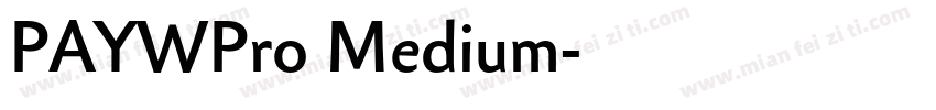 PAYWPro Medium字体转换